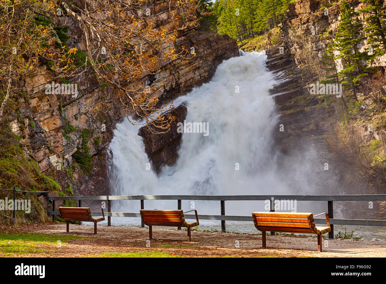 Cameron Falls, Waterton Lakes National Park, Alberta, Canada Banque D'Images