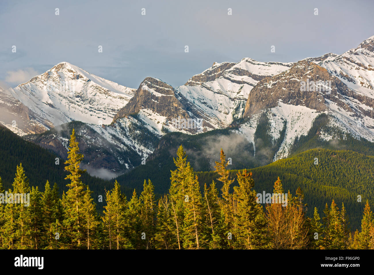 Sur la montagne, le parc provincial de Bow Valley, Alberta, Canada Banque D'Images