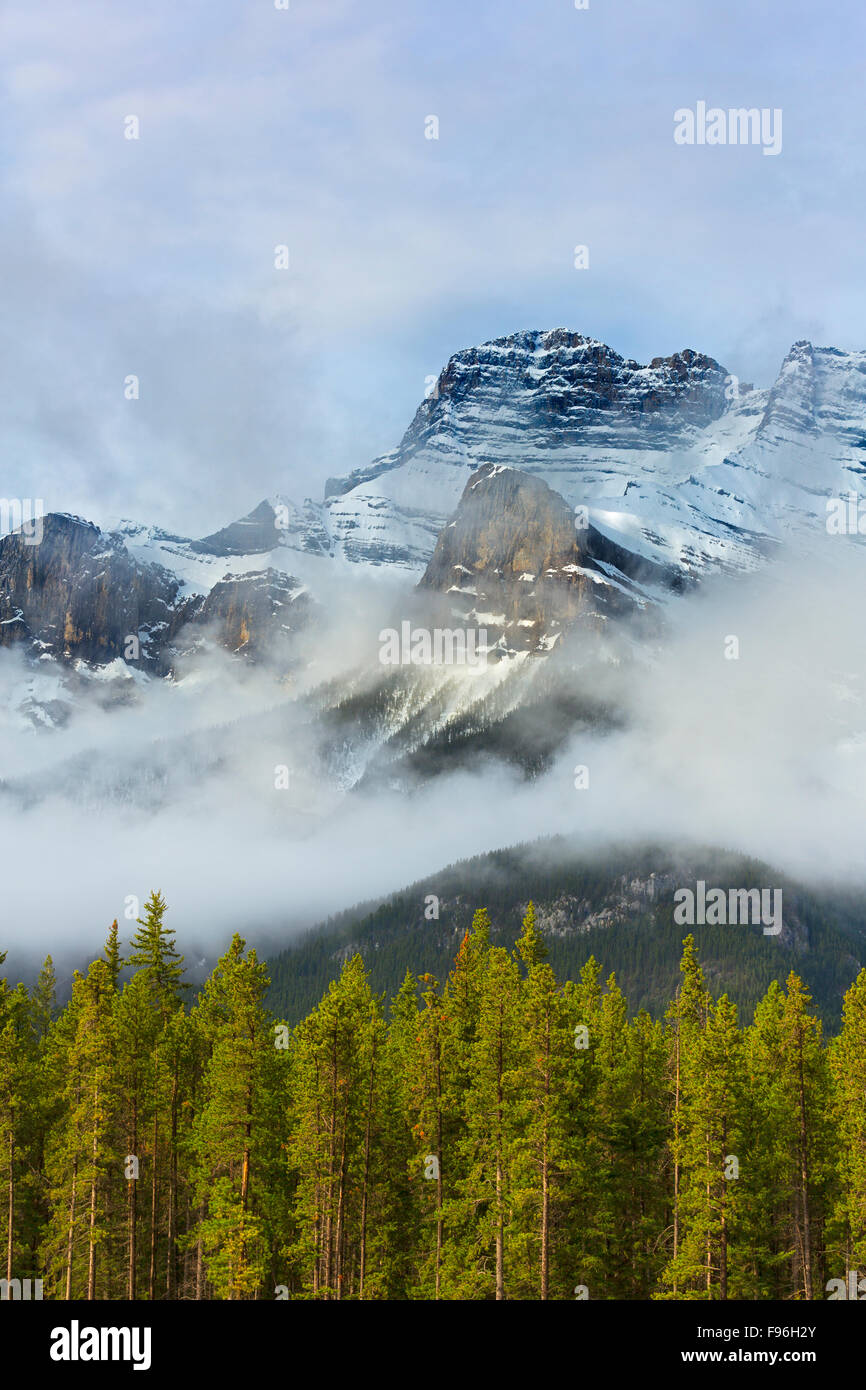 Recouvert de neige et brouillard enveloppé le mont Rundle montagnes, Banff National Park, Alberta, Canada Banque D'Images