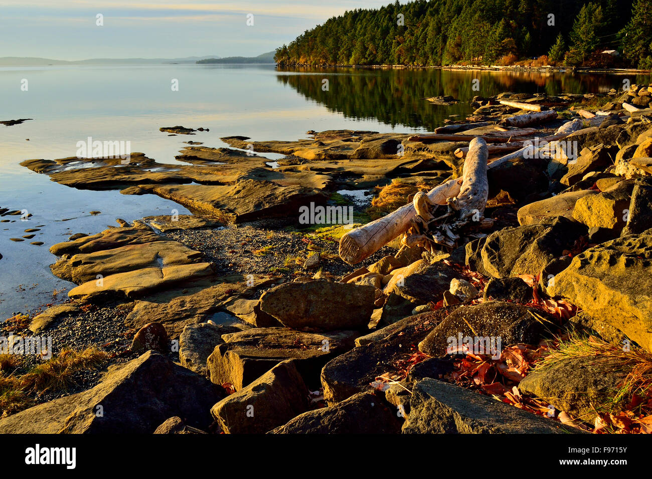 La côte rocheuse de l'île de Vancouver au début de lumière du matin près de Yellow Point B.C. Banque D'Images