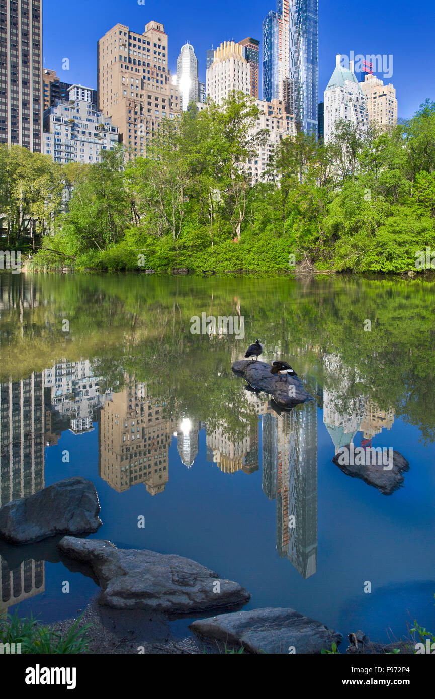 L'étang dans Central Park, New York Banque D'Images
