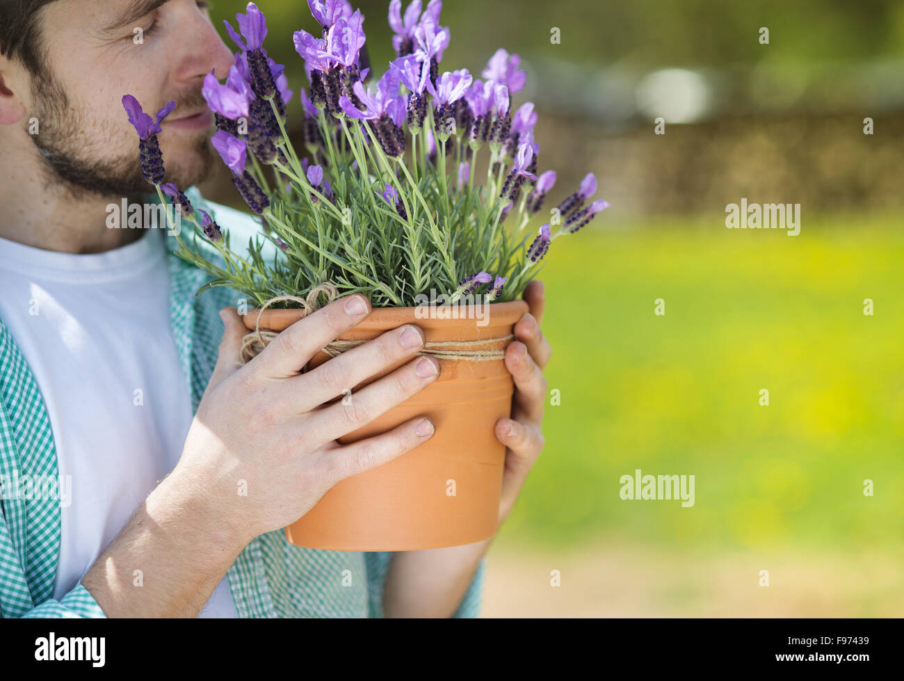 Jeune homme tenant un jardinier pot de lavande Banque D'Images