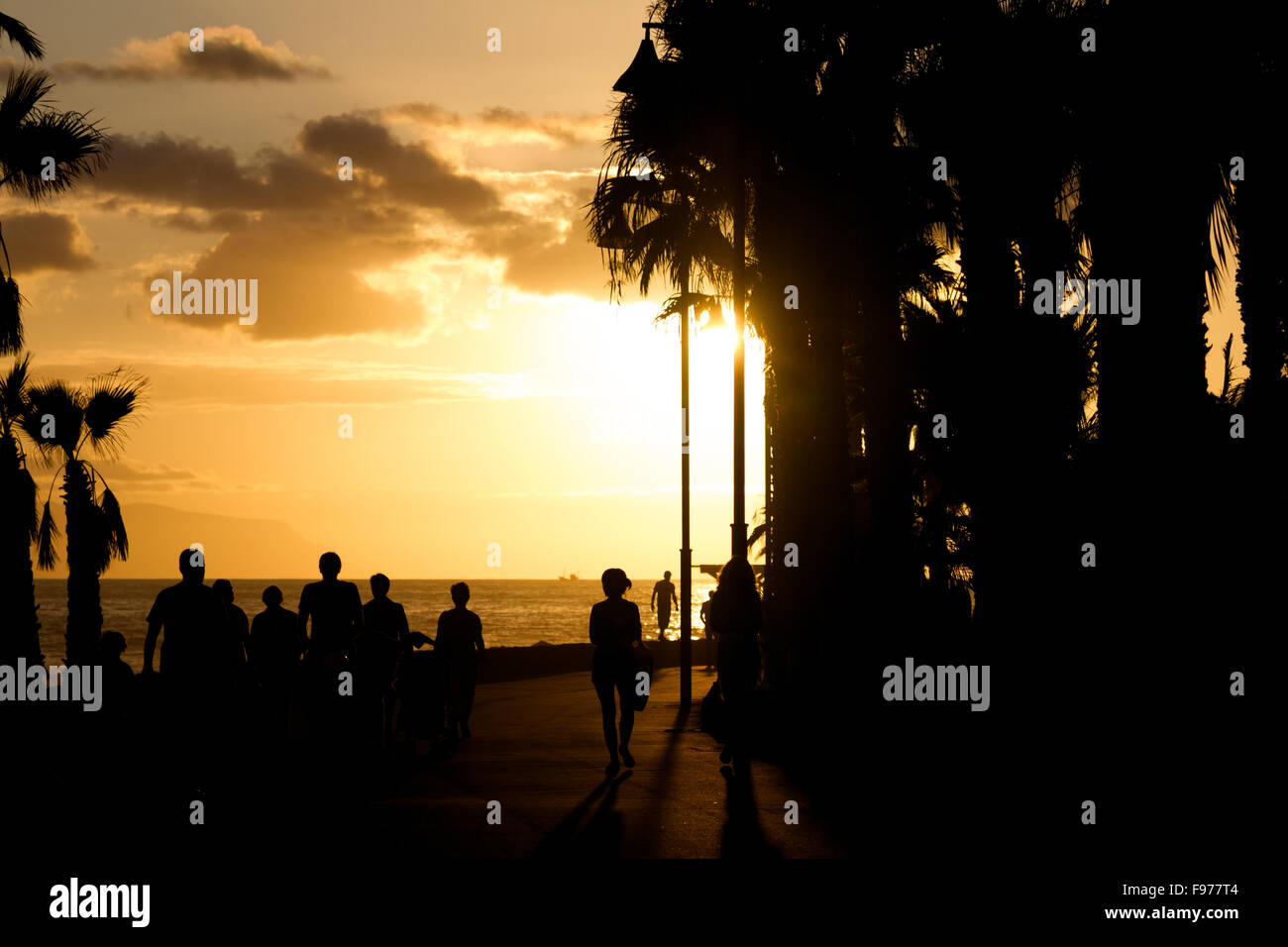 Coucher de soleil sur l'océan ciel coloré en sépia. Dans l'avant-plan - les contours de palmiers et de personnes. Dans l'arrière-plan), le c Banque D'Images