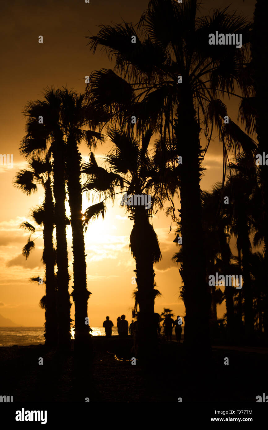 Coucher de soleil sur l'océan ciel coloré en sépia. Dans l'avant-plan - les contours de palmiers et de personnes. Dans l'arrière-plan), le c Banque D'Images
