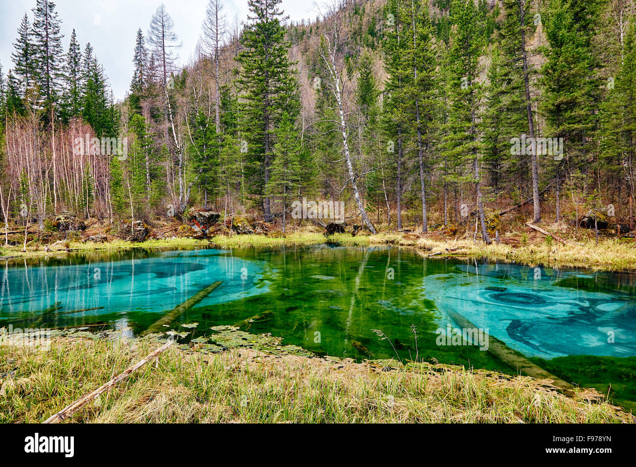 Soi-disant geyser bleu lac dans les montagnes de l'Altaï avec de vieux journaux sur l'avant-plan Banque D'Images