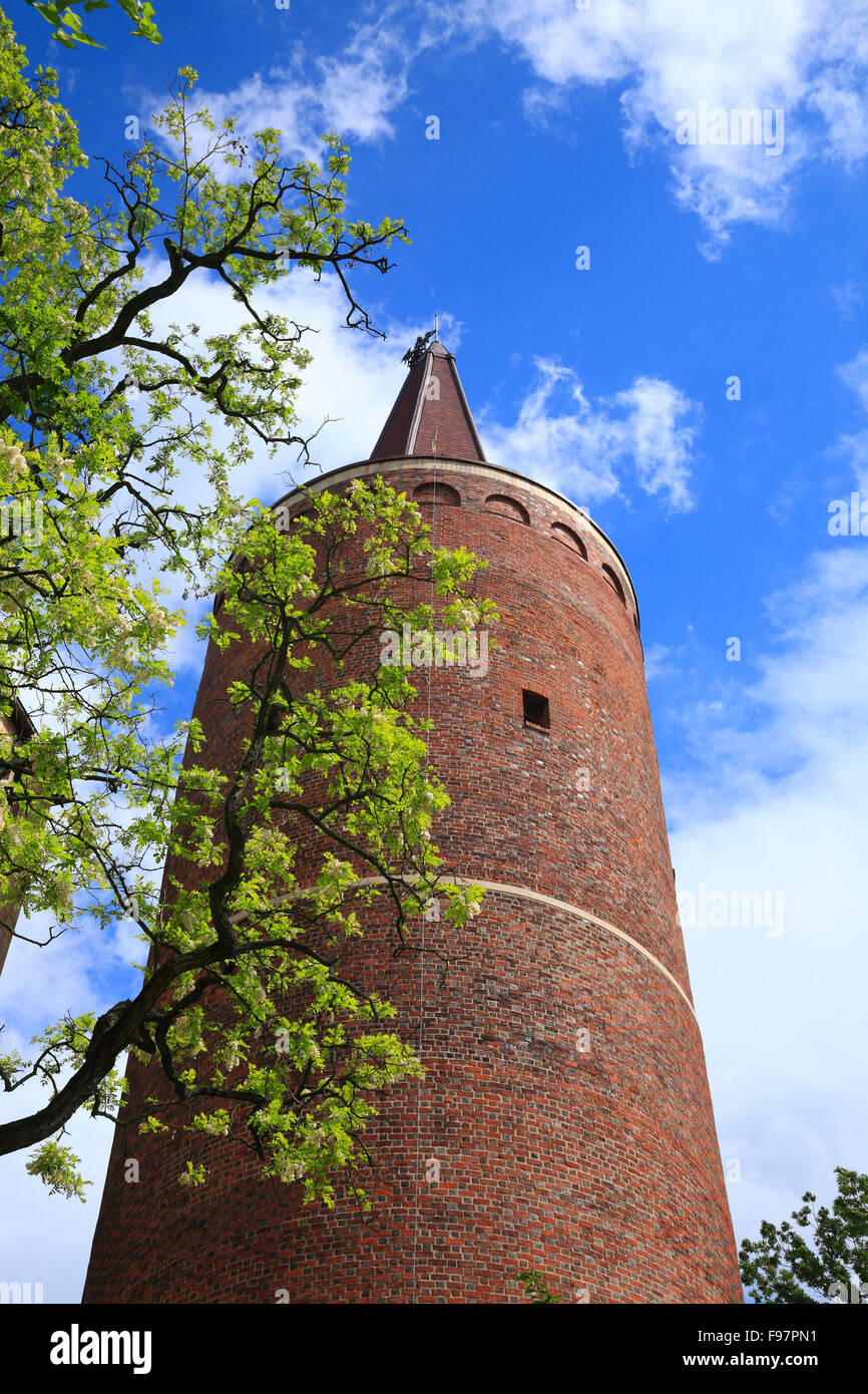 Tour Piast, Wieza Piastowska (Piastenturm), Opole, Silésie, Pologne, Europe Banque D'Images