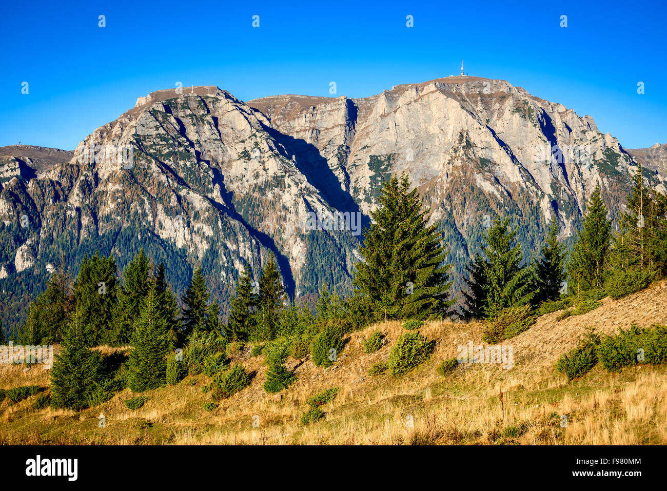 Les montagnes des Carpates. Rocky Ridge Bucegi dans couleurs d'automne, étonnant paysage alpin à Busteni, La Vallée de Prahova. Banque D'Images