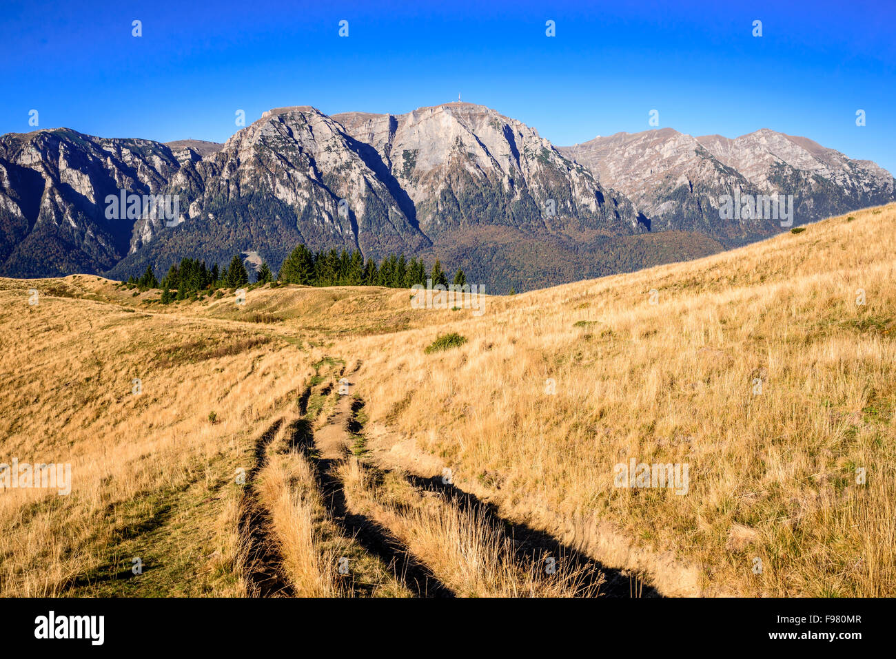 Les montagnes des Carpates. Rocky Ridge Bucegi dans couleurs d'automne, étonnant paysage alpin à Busteni, La Vallée de Prahova. Banque D'Images