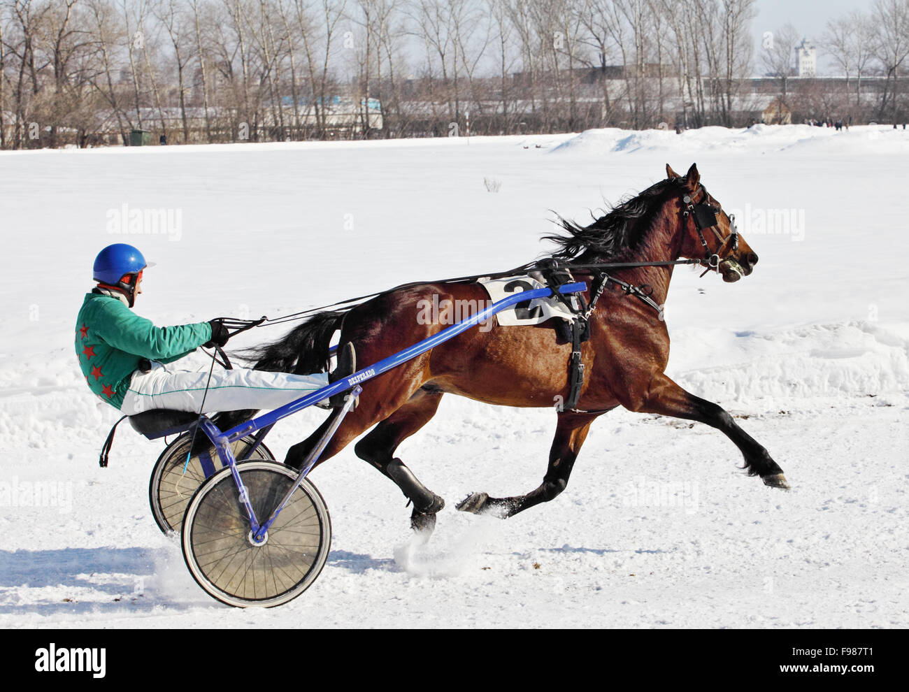 En hiver, les courses de chevaux trotter sur l'hippodrome Banque D'Images