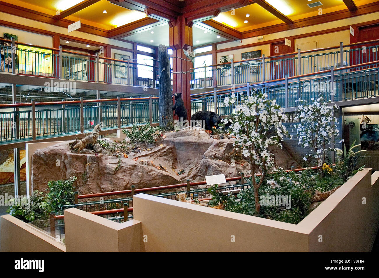 Centre d'accueil au parc national des Gorges de Tallulah dans le Nord de la Géorgie. Banque D'Images