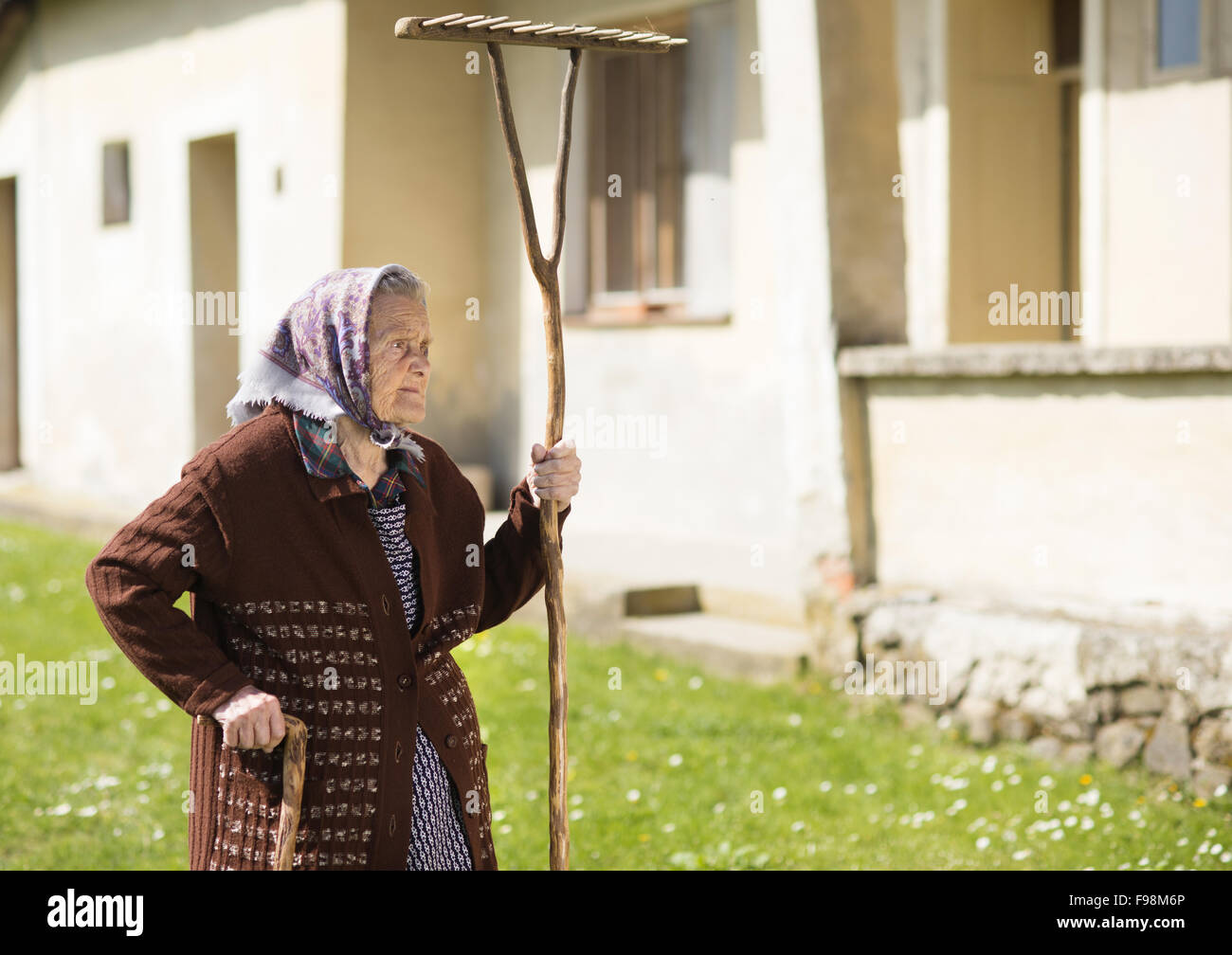 Très vieille femme en foulard avec râteau dans son arrière-cour Banque D'Images
