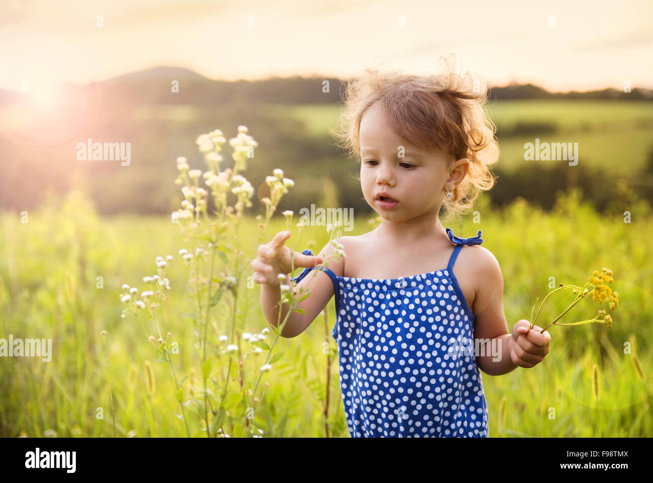 Cute little girl joue en été meadow Banque D'Images