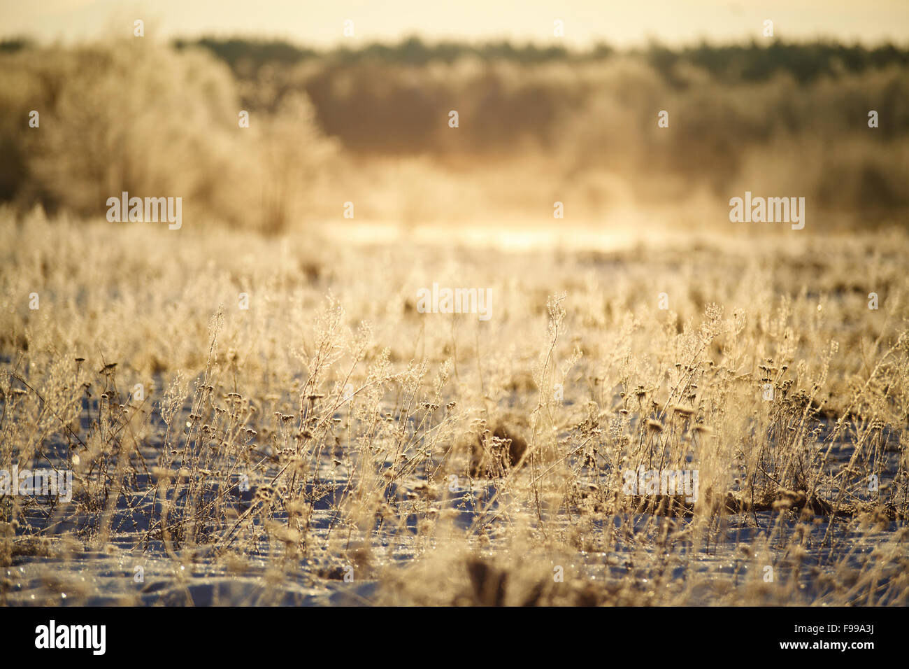 Neige et soleil Banque D'Images