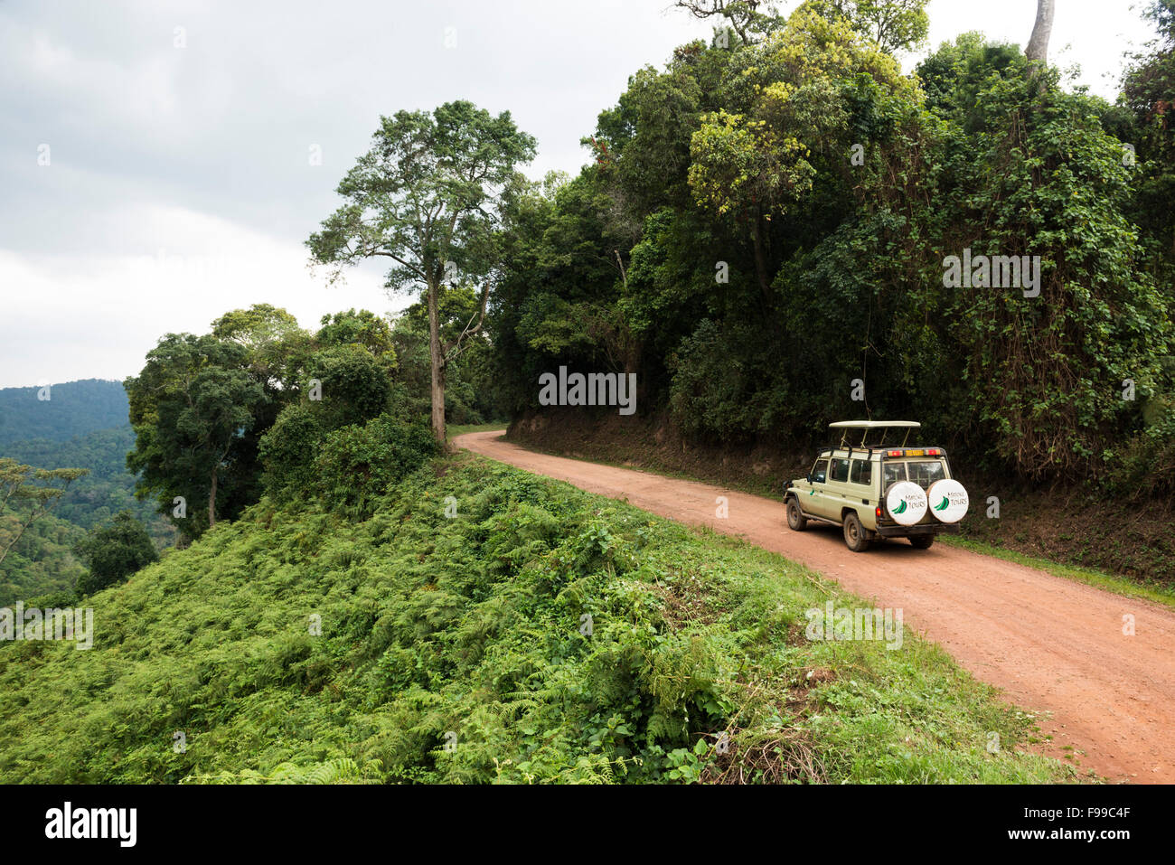 Véhicule de Safari dans le Parc National impénétrable de Bwindi, en Ouganda Banque D'Images