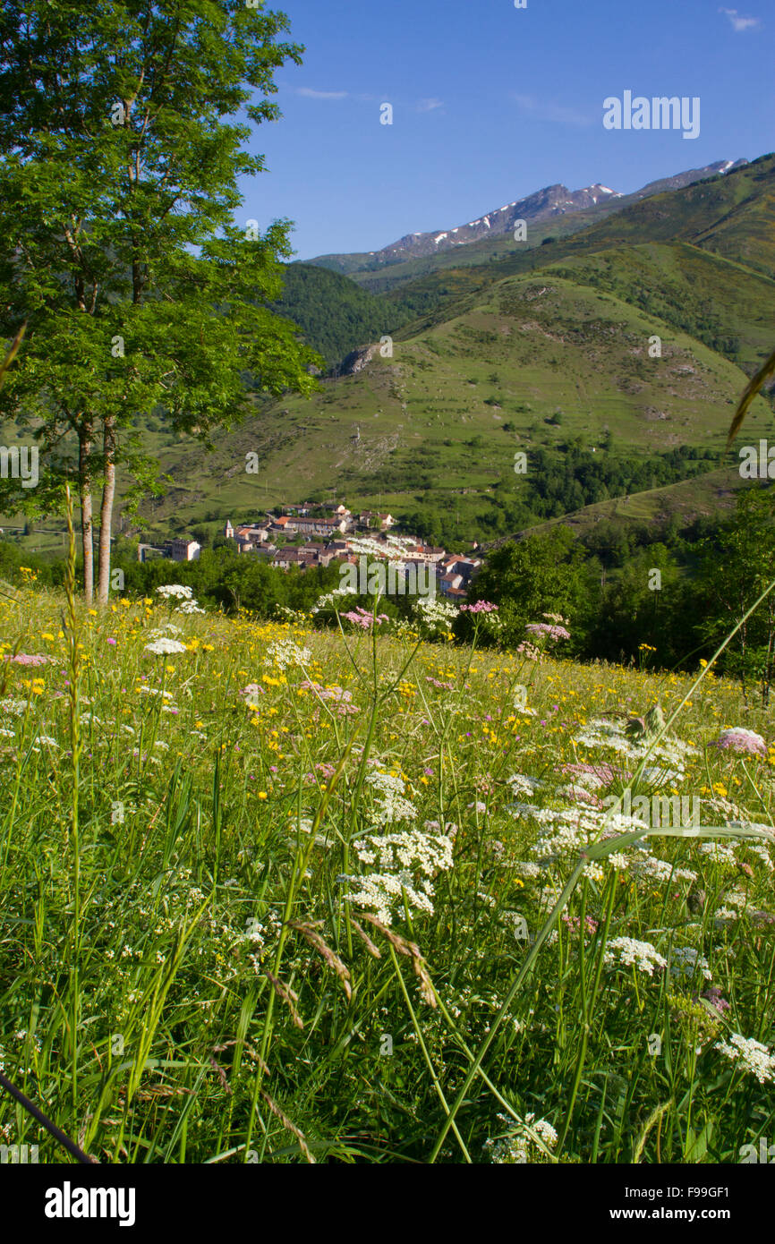 Vue sur un traditionnel hay meadow au village de montagne de Cassou. Ariege Pyrenees, France. Mai. De juin. Banque D'Images