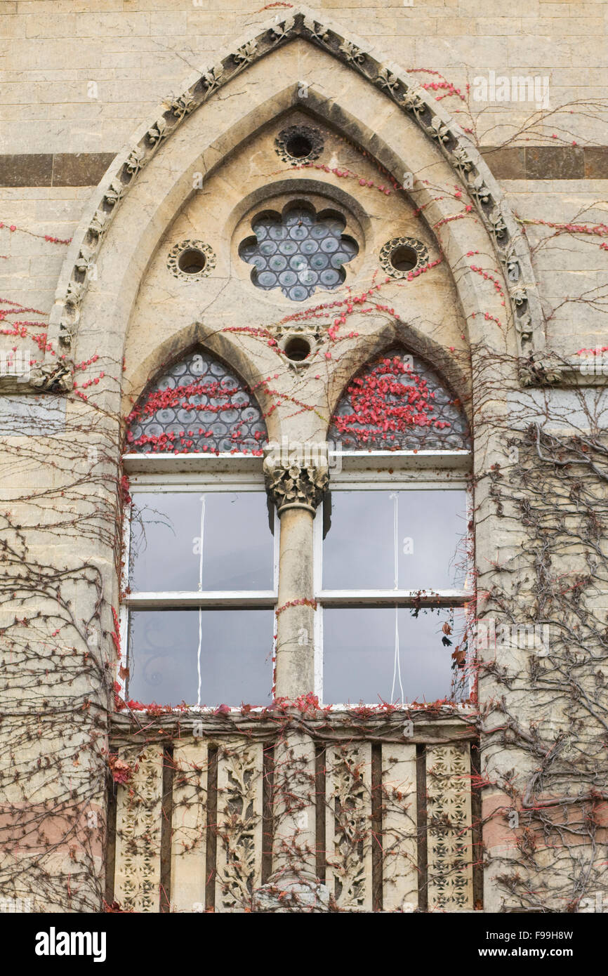 Lierre grimpant à l'automne sur le pré, Christ Church, Oxford Banque D'Images