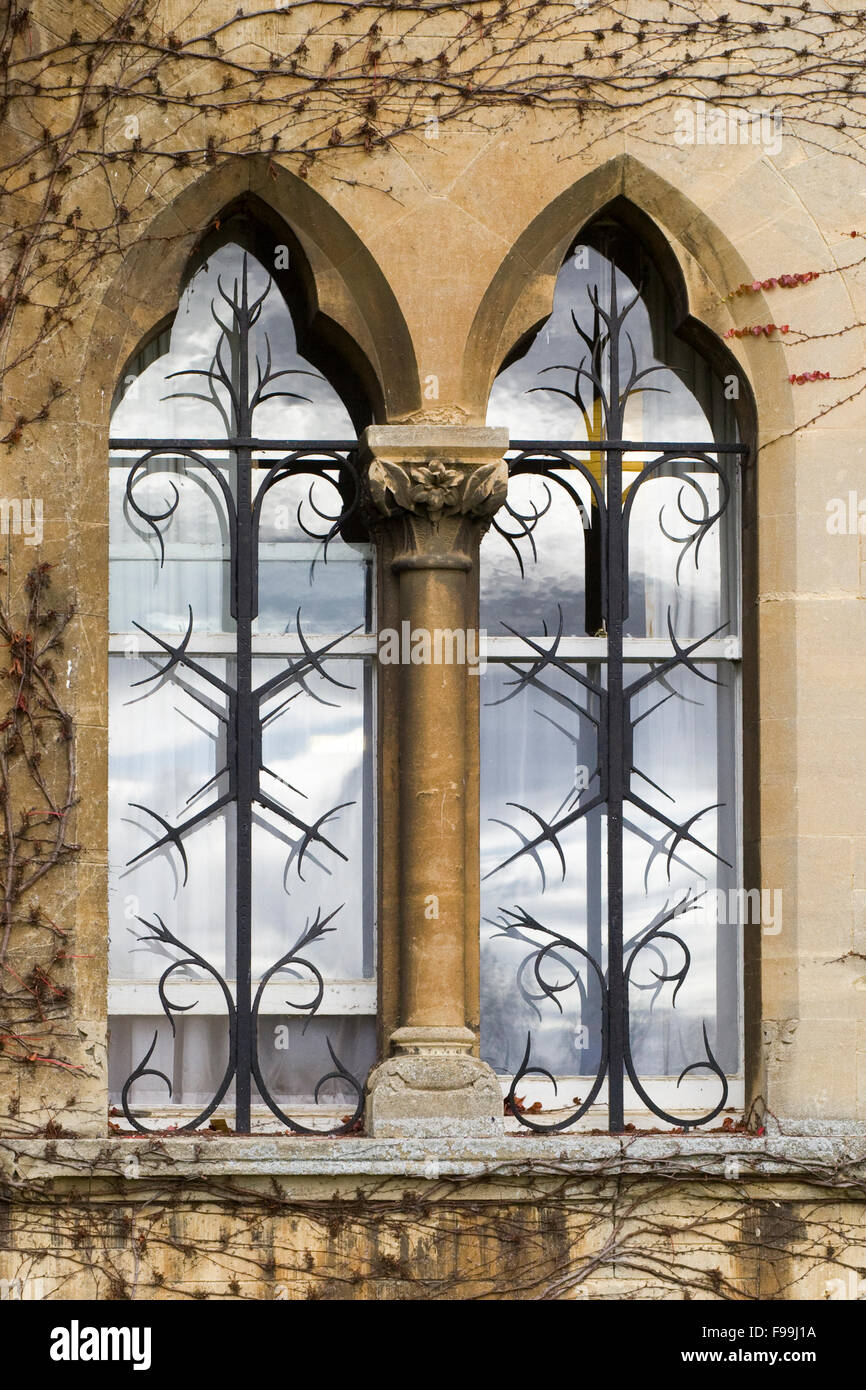 Lierre grimpant à l'automne sur le pré, Christ Church, Oxford Banque D'Images