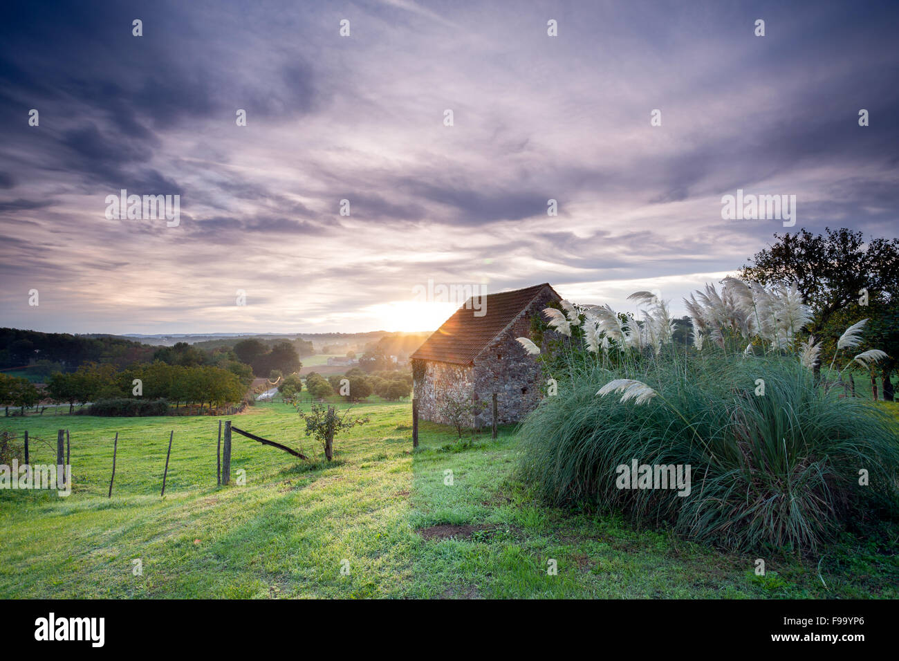 Ancienne grange et de pampas au lever du soleil dans la campagne française Banque D'Images