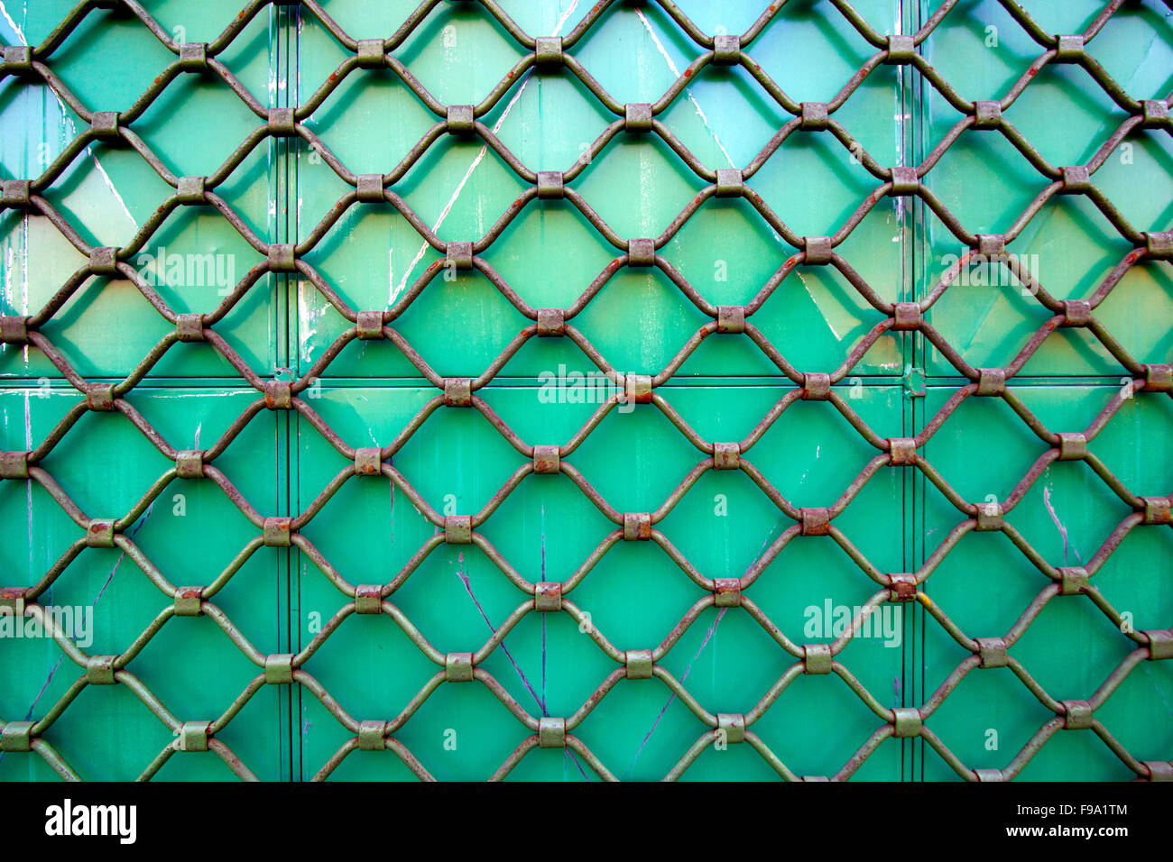 Mur vert avec fil de la maille Banque D'Images
