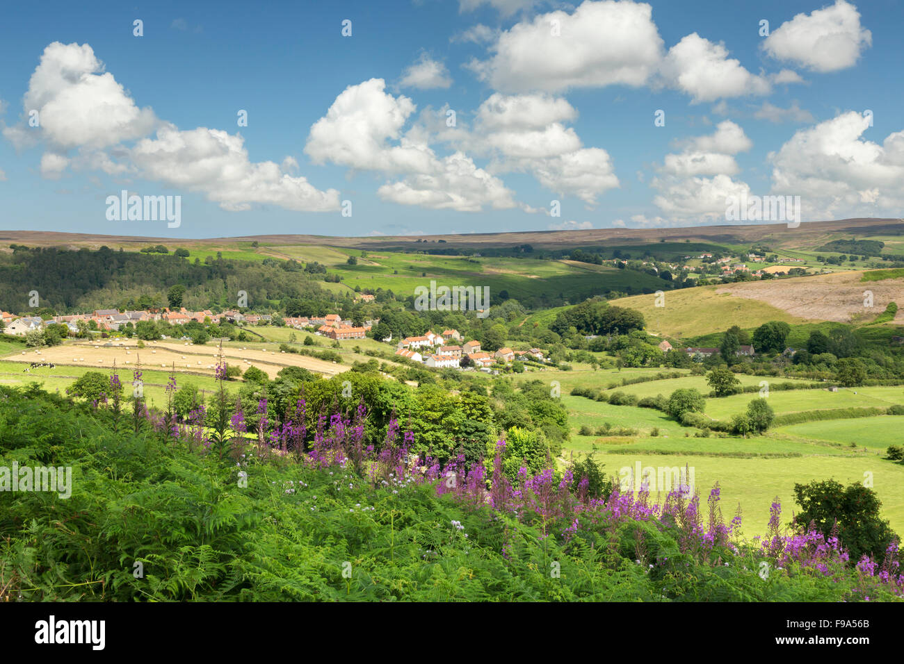 Castleton village, le North Yorkshire Moors, juillet 2014/ Banque D'Images