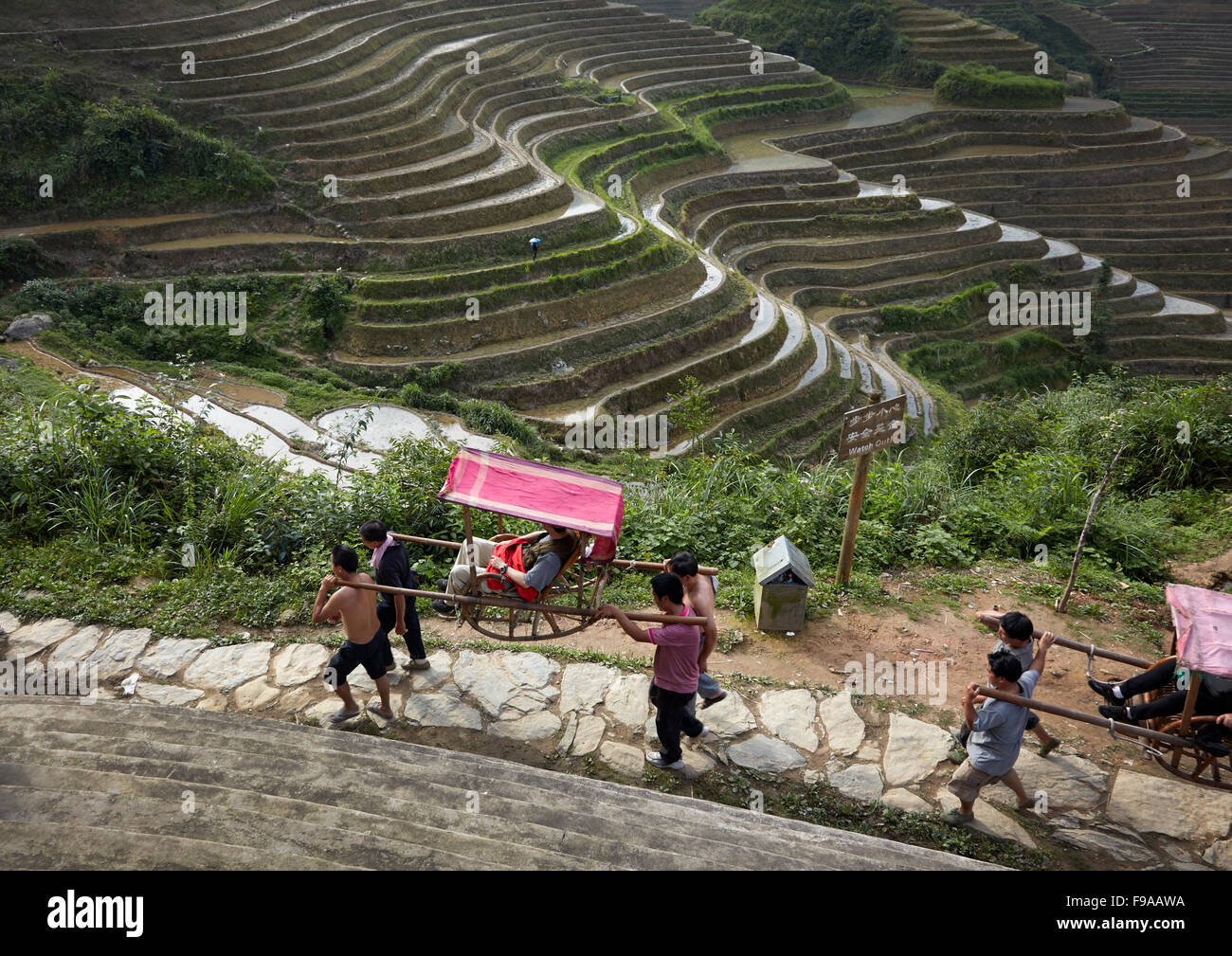 Longsheng rizières en terrasses, Chine Banque D'Images