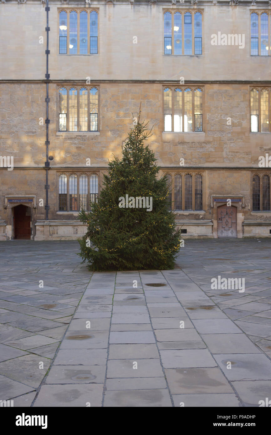 L'Université d'Oxford : Bodleian Library avec arbre de Noël dans la poignée Banque D'Images