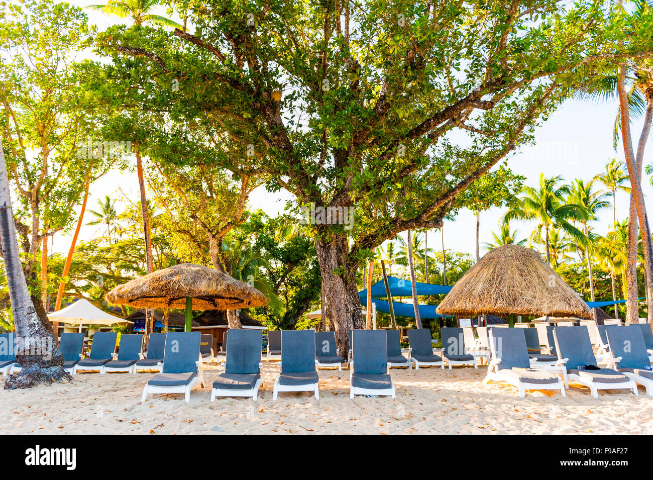 Palmiers, plages de sable et d'eau claire sur l'île de Fidji dans le Pacifique Sud. Banque D'Images