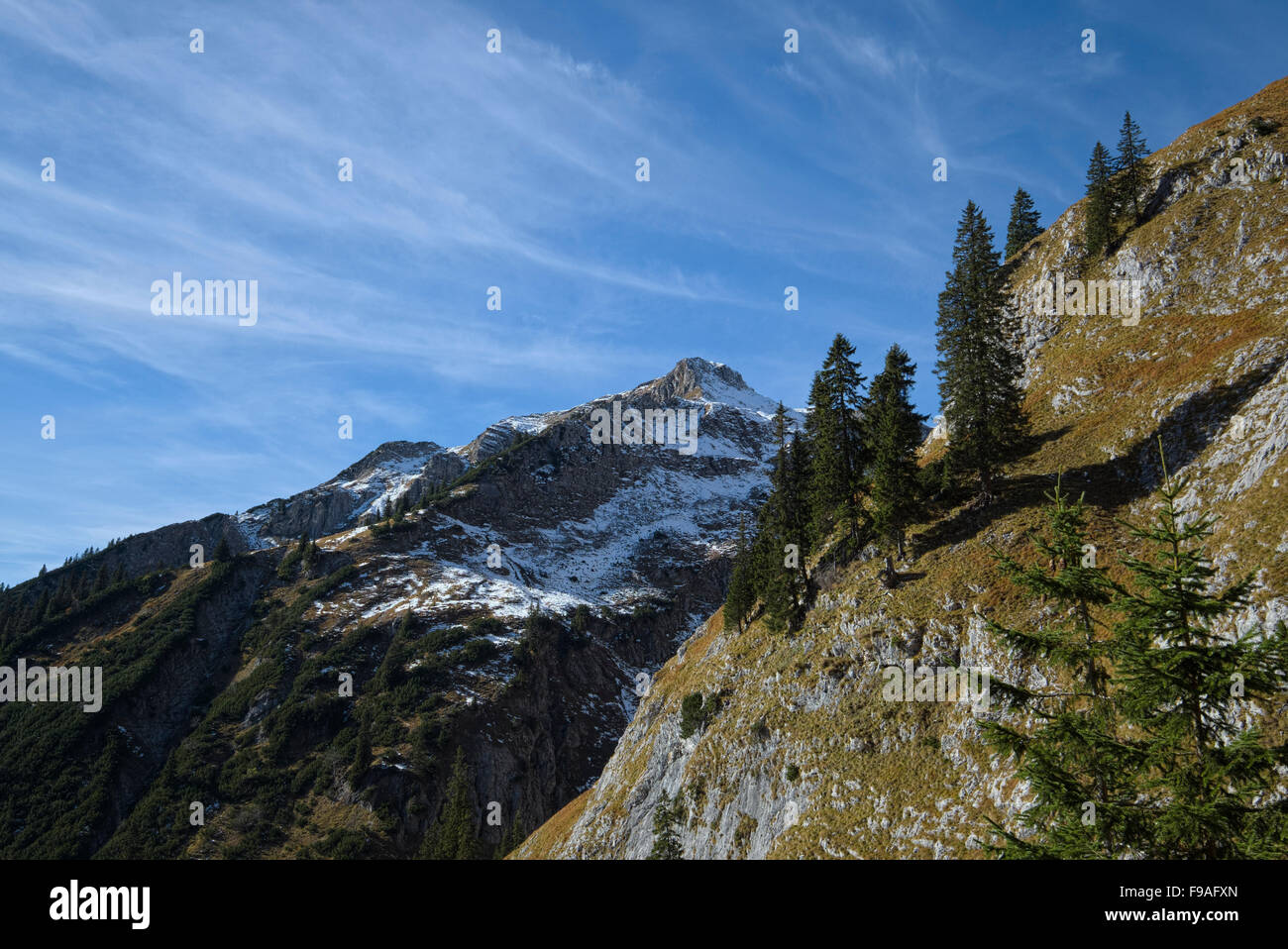 La montagne enneigée en partie à l'automne, la région Alpes Ammergau, Bavière, Allemagne Banque D'Images