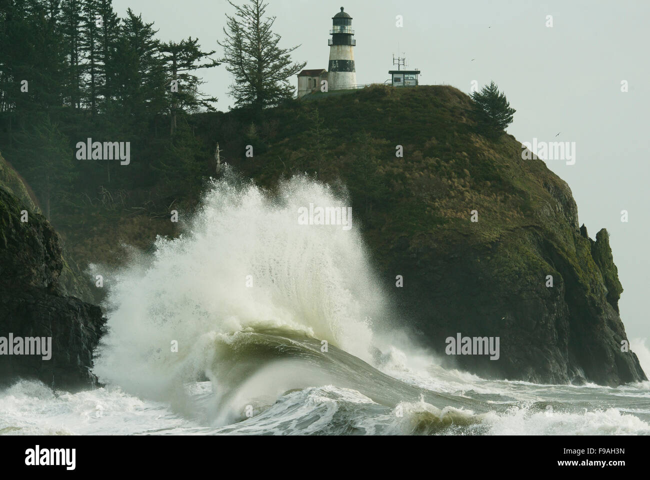 Les vagues déferlent massive dans l'île de déception à l'embouchure du fleuve Columbia, en décembre 2015, l'État de Washington, USA Banque D'Images