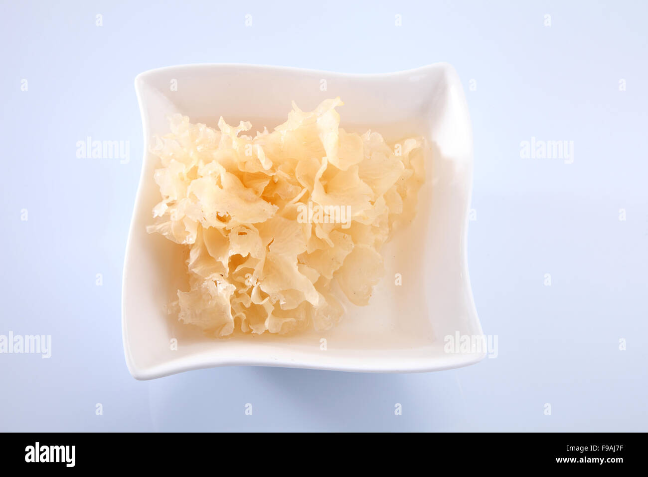 Gelée de champignon de neige la médecine traditionnelle chinoise pour la santé Banque D'Images