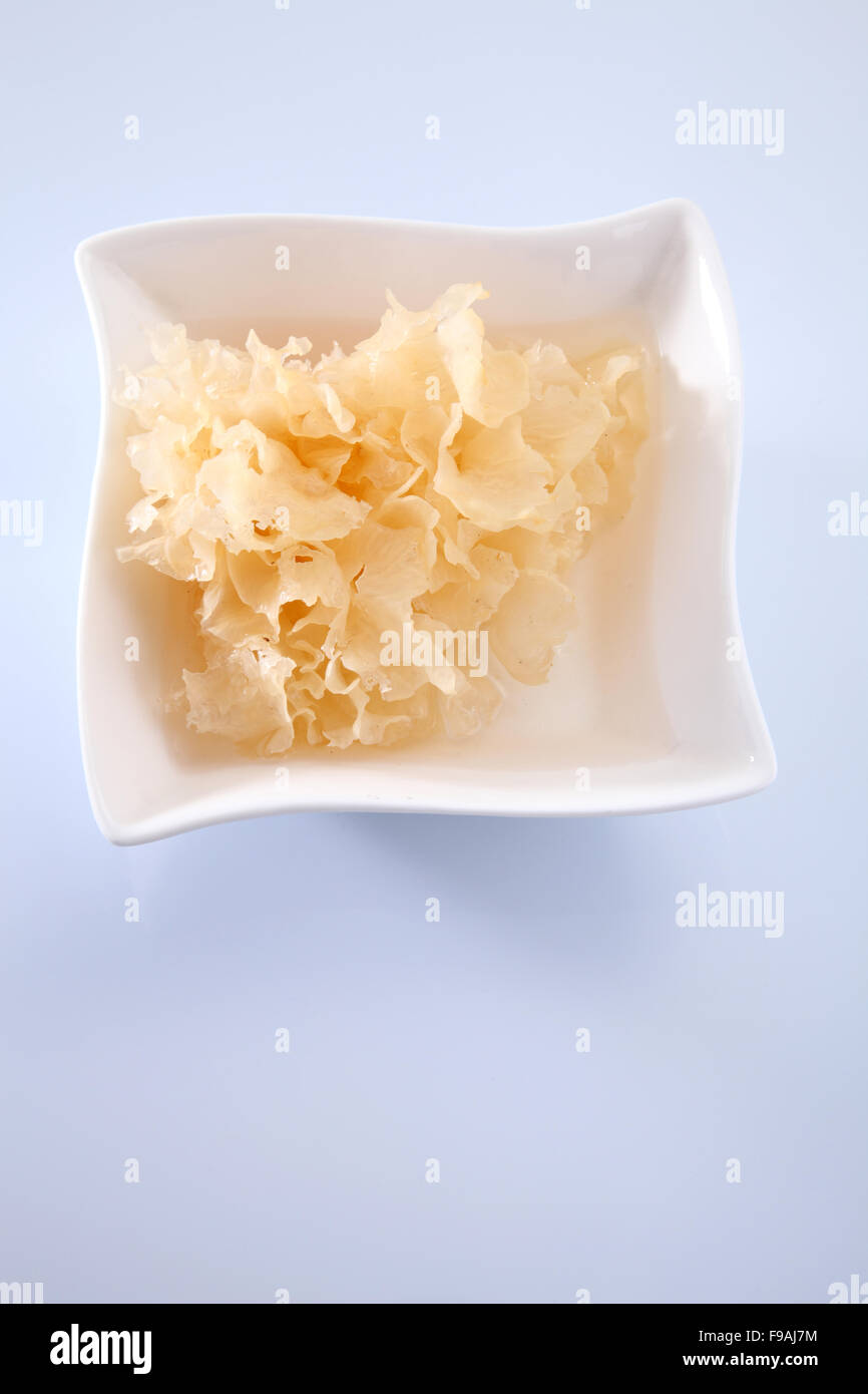 Gelée de champignon de neige la médecine traditionnelle chinoise pour la santé Banque D'Images