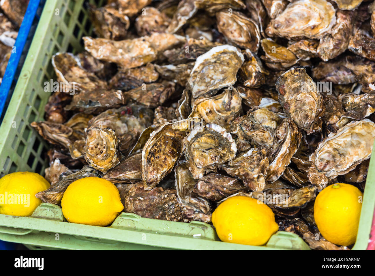 Marché des huîtres à Cancale, Bretagne, France. Tourné avec un focus sélectif Banque D'Images