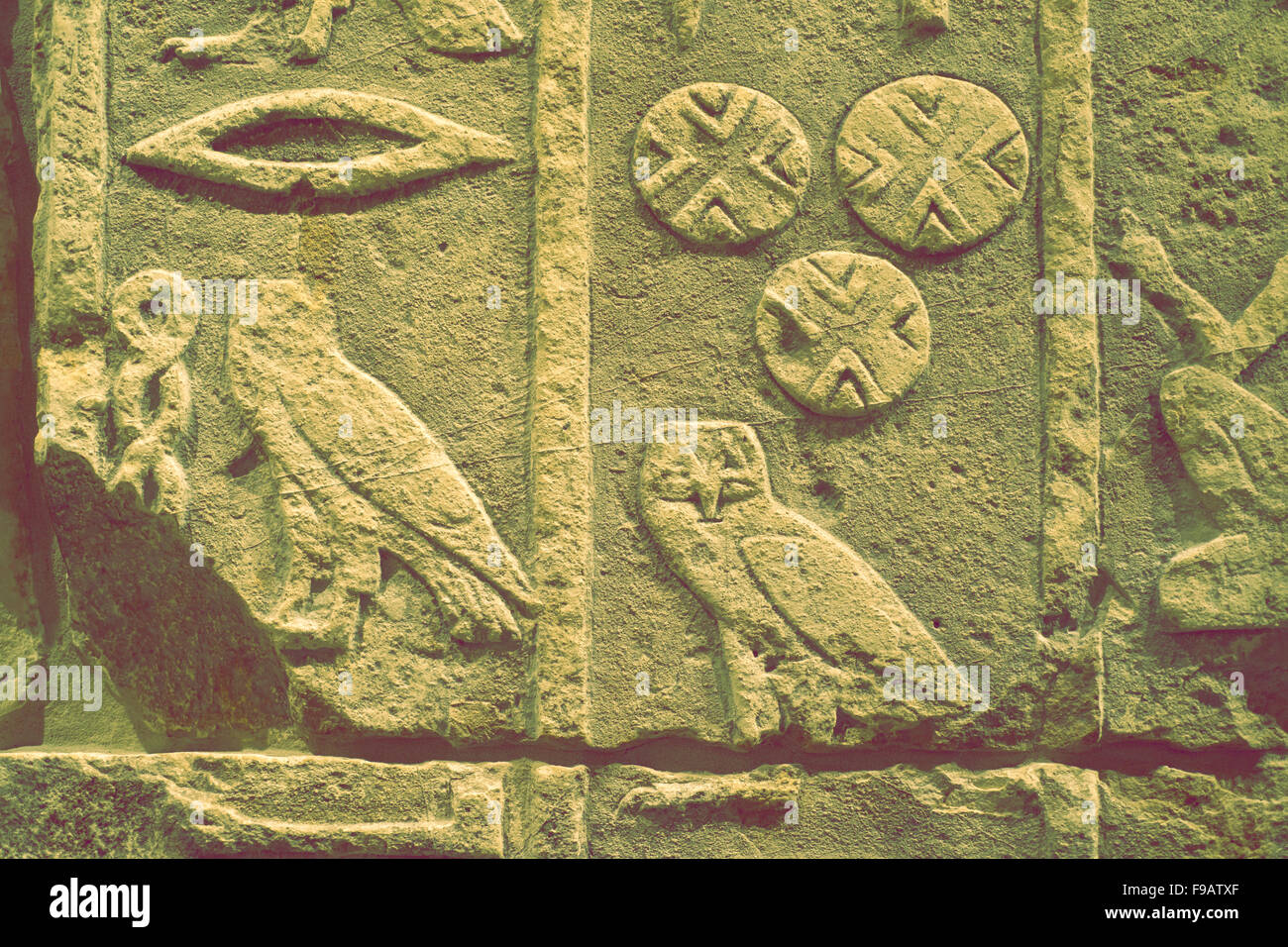 Grand fragment de mur de sculptures d'oiseaux et des symboles de l'ancienne Egypte Banque D'Images