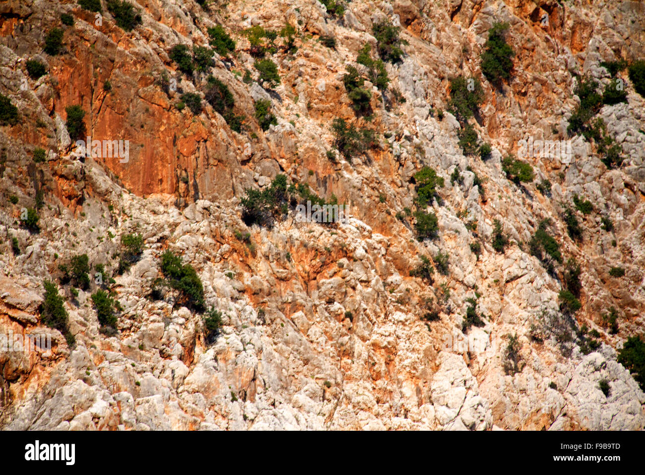Paysage de montagne Banque D'Images