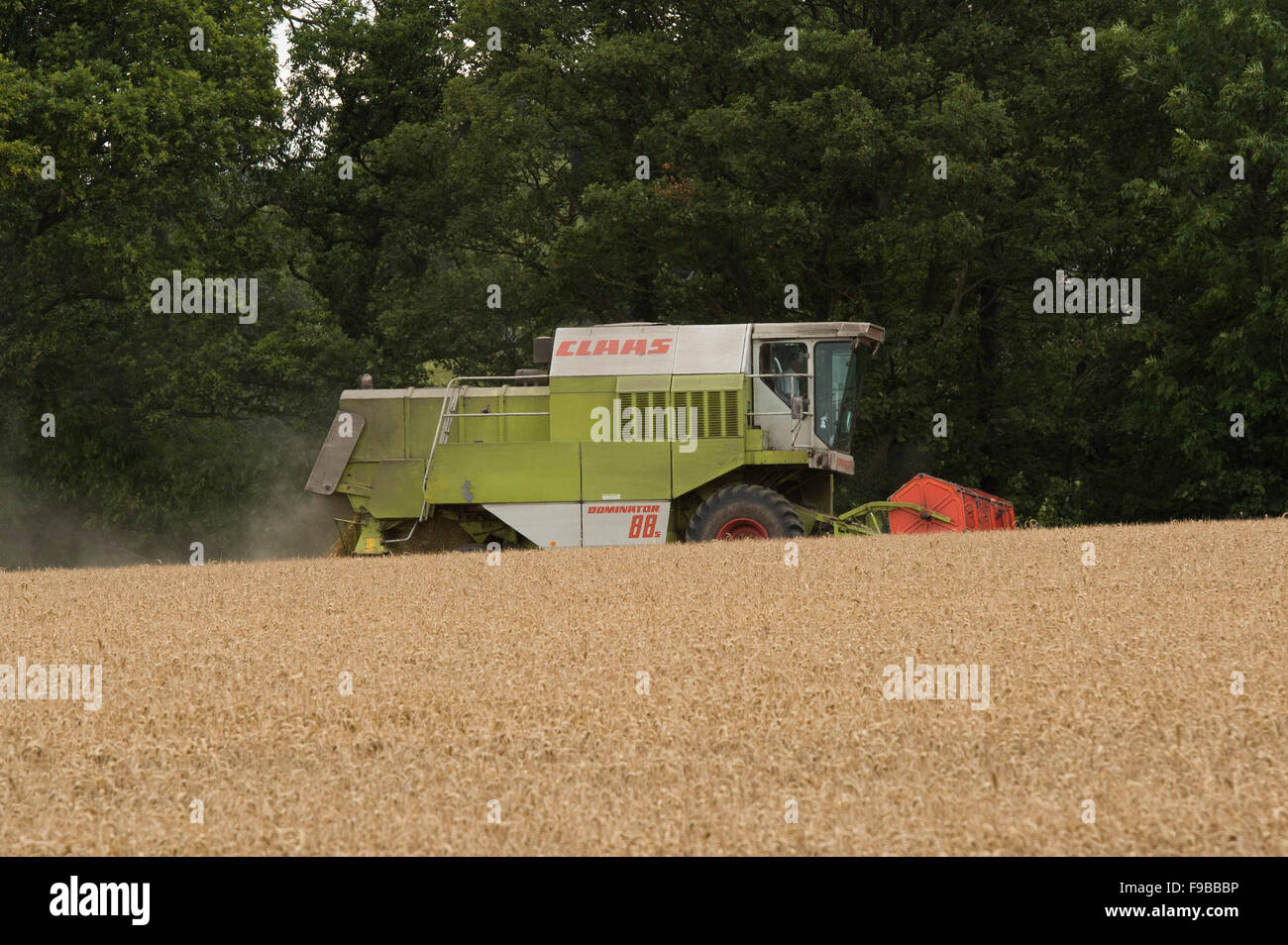 Ferme agricole (machine puissante moissonneuse-batteuse Claas) travaillant dans le champ de blé mûr coupe récolte du grain à la récolte - North Yorkshire, England UK. Banque D'Images