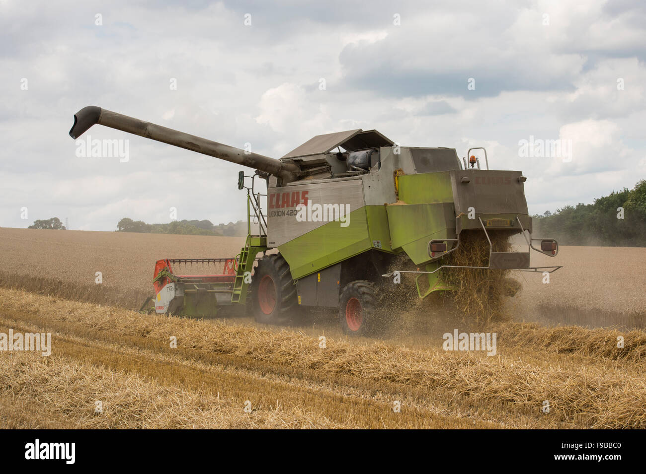 Ferme agricole (machine puissante moissonneuse-batteuse Claas) travaillant dans le champ de blé mûr coupe récolte du grain à la récolte - North Yorkshire, England UK. Banque D'Images