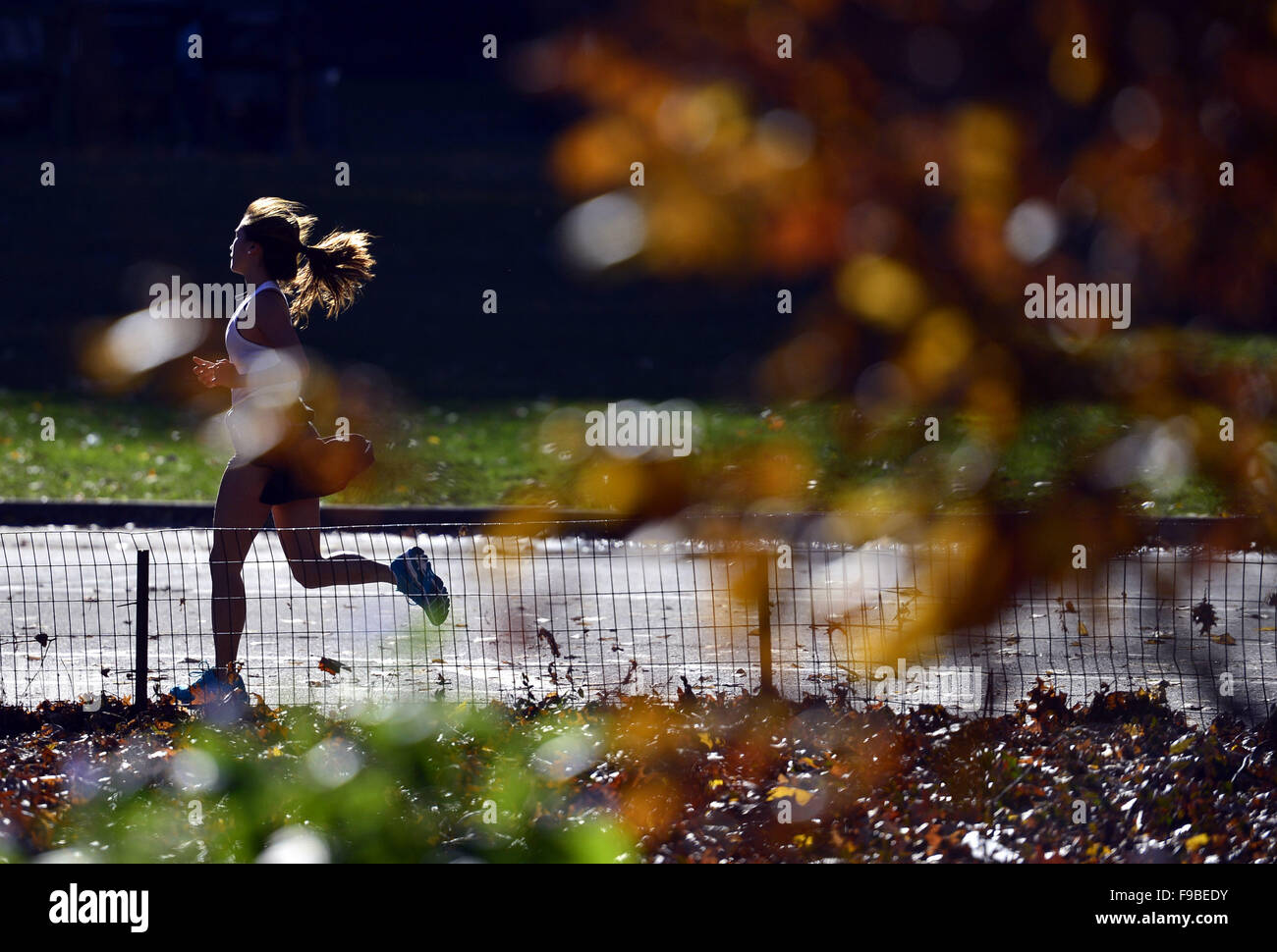 New York, USA. Le 15 décembre, 2015. Une femme reprend sa course au Central Park à New York, aux États-Unis, le 15 décembre 2015. New York a battu un record de l'hiver le plus chaud de décembre, avec certains résidents de partir en short et sandales à quelques jours avant le congé de Noël glacial habituellement. Les températures devraient rester bien au-dessus de la moyenne saisonnière tout au long de la semaine, le National Weather Service a déclaré. © Wang Lei/Xinhua/Alamy Live News Banque D'Images