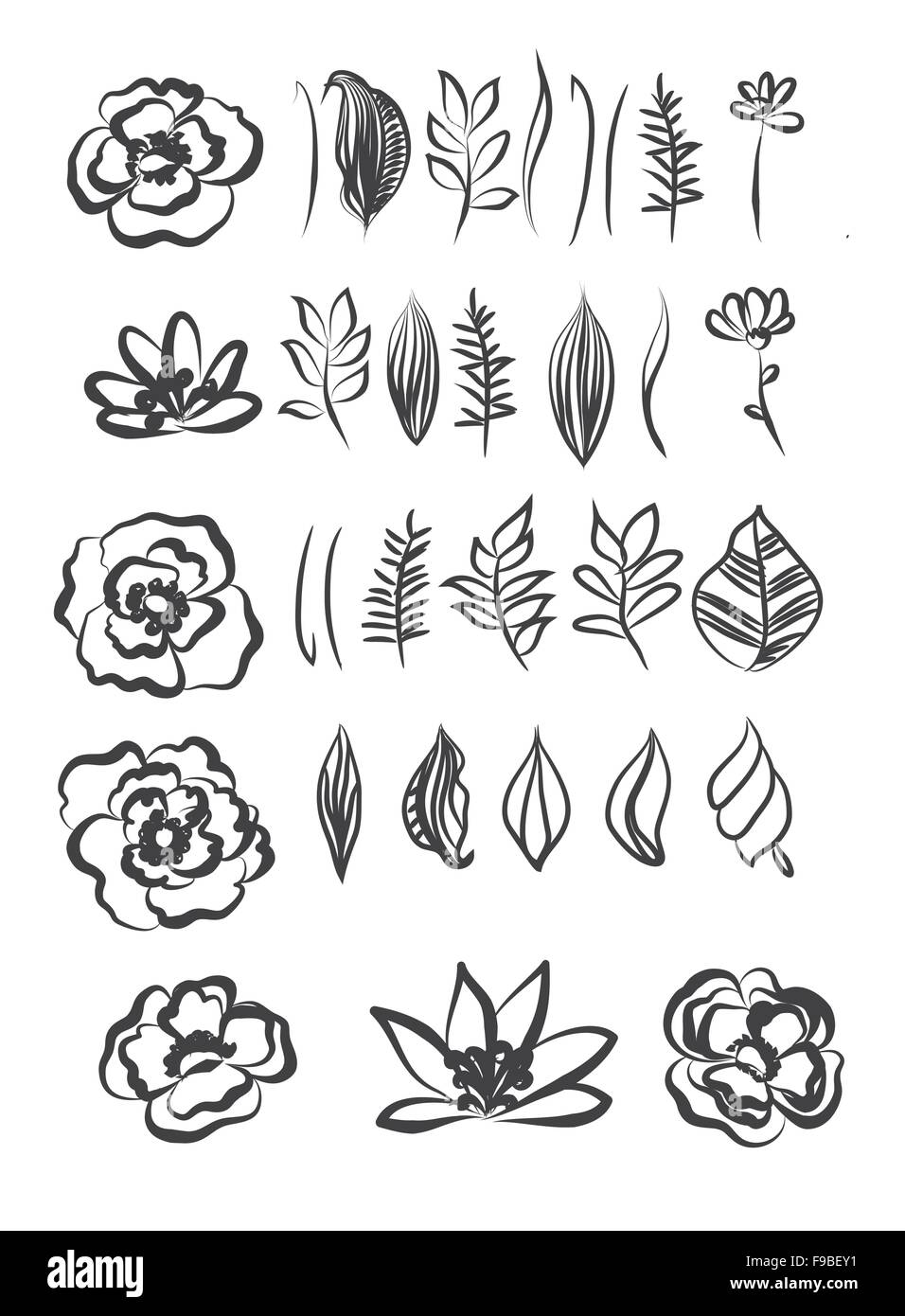 Fleur à la main et laisse la conception de l'élément Illustration de Vecteur