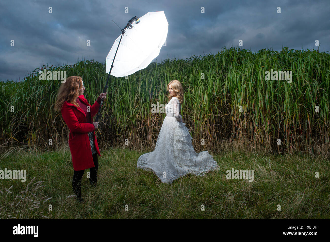 Une photo de mode-shoot : Une jeune femme blonde habillée comme une épouse modèle portant une robe de dentelle blanche photographié debout à côté d'un champ d'herbe à éléphant, UK, avec une autre femme tenant une tête flash parapluie blanc brolly sur un poteau pour éclairer la scène Banque D'Images
