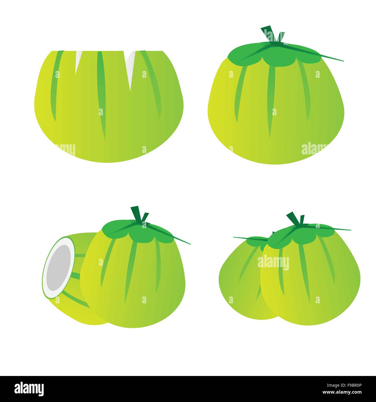 Yung coconut vector set Illustration de Vecteur