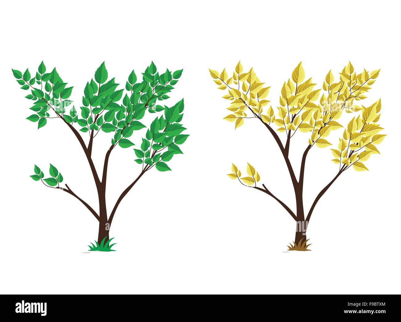 Set design vector arbres Illustration de Vecteur