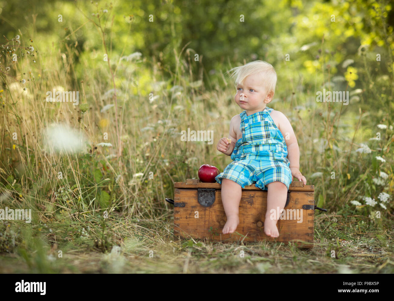 Cute kid tenant une pomme rouge dans Green Park Banque D'Images