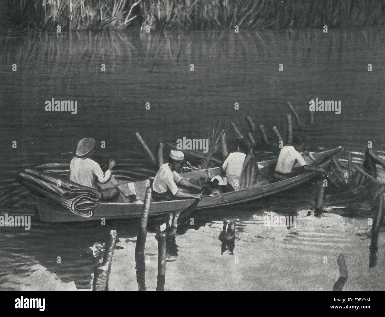 Attaché dans la jungle de flux pour le repas de midi, Siam, vers 1900 Banque D'Images