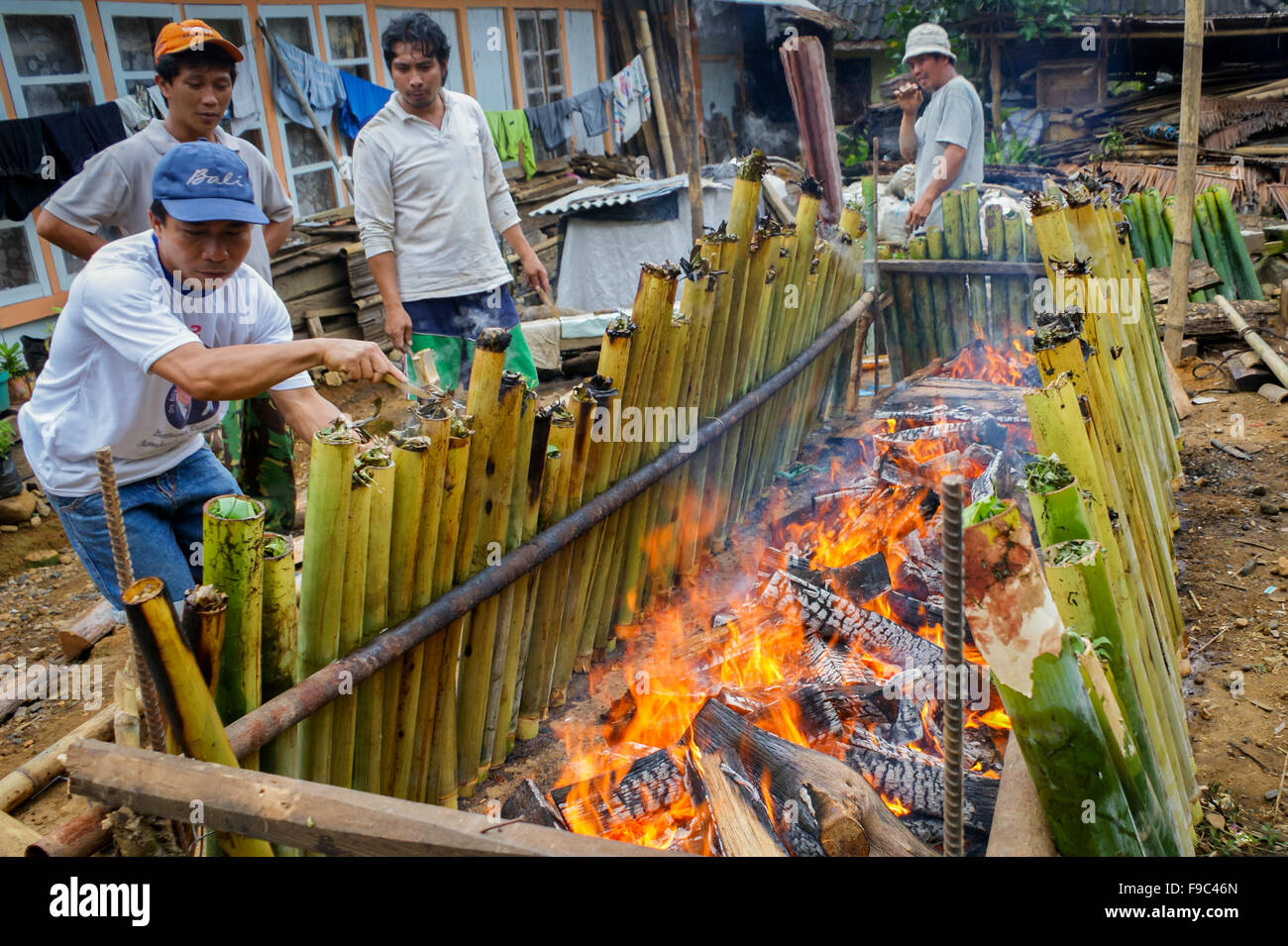 Les gens cuisent du riz qui, aux côtés des épices, est placé à l'intérieur des steamers de bambou à Lahendong, Tomohon du Sud, Tomohon, Sulawesi du Nord, Indonésie. Banque D'Images