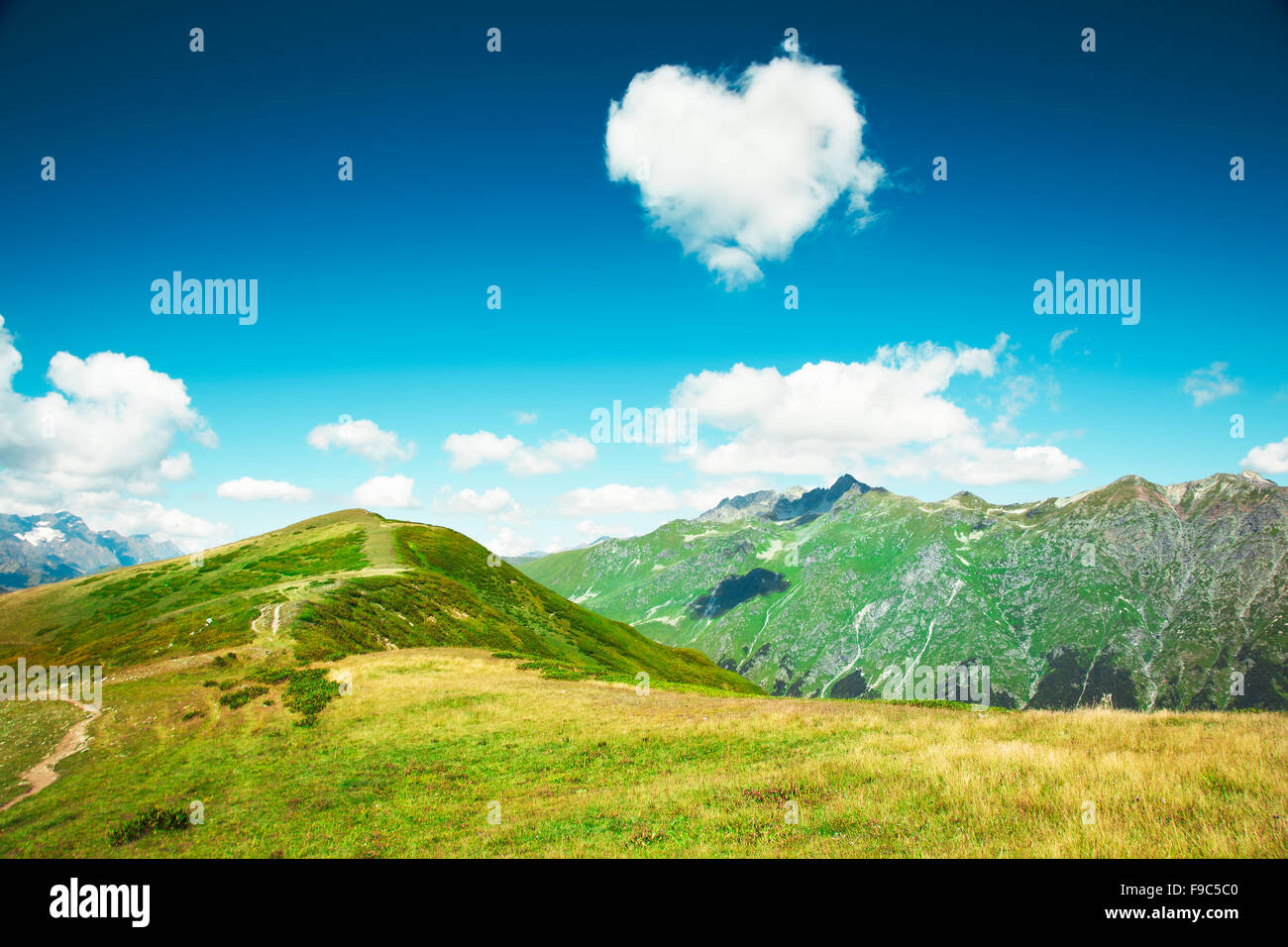 Montagnes du Caucase. L'Abkhazie. Banque D'Images