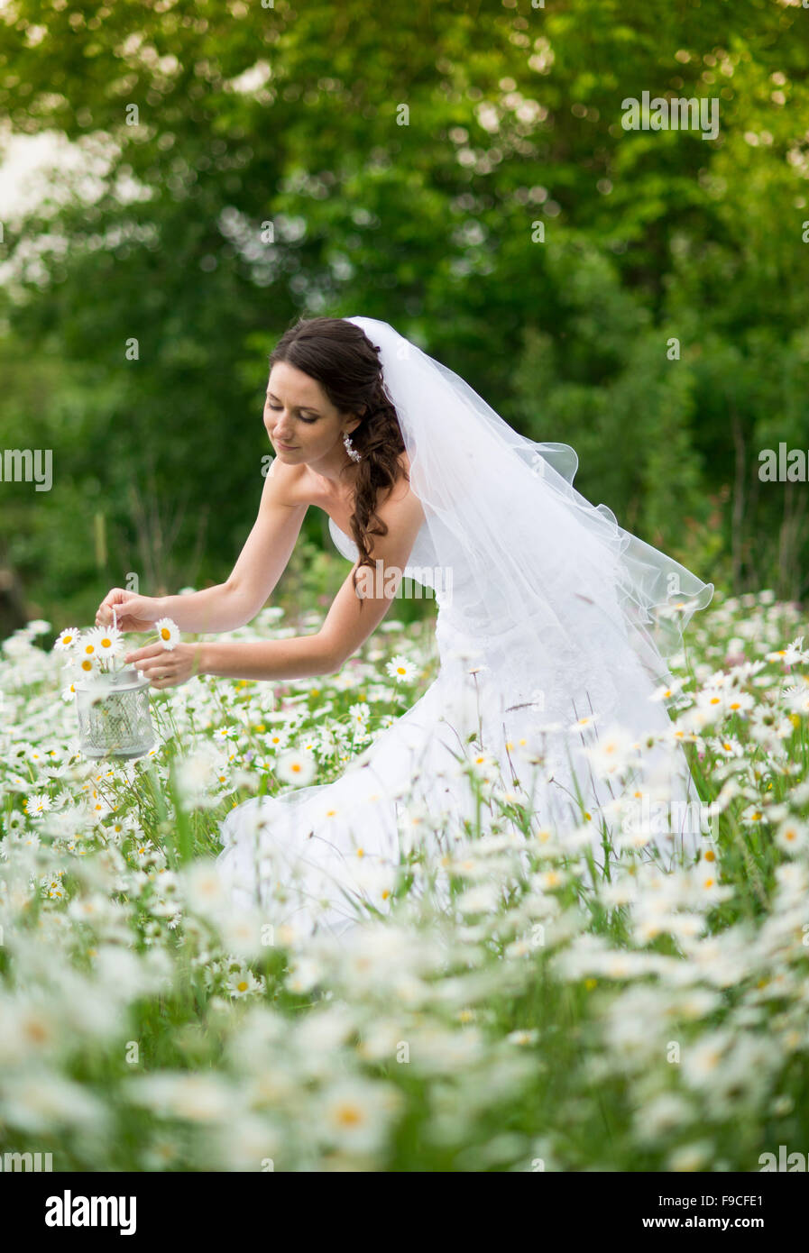 Mariée en robe de mariée blanche à la prairie Banque D'Images