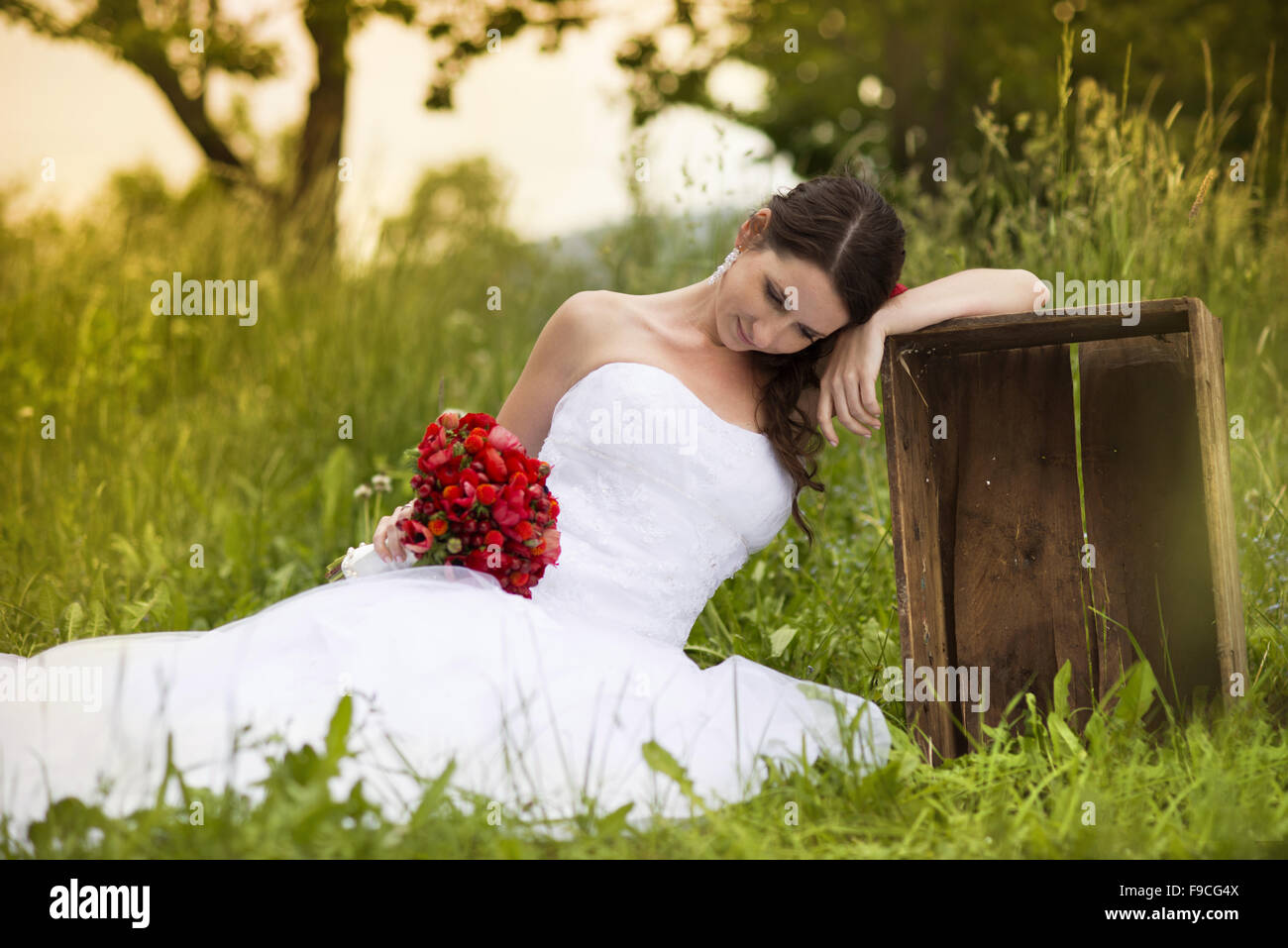 Mariée en robe de mariée blanche à la prairie Banque D'Images