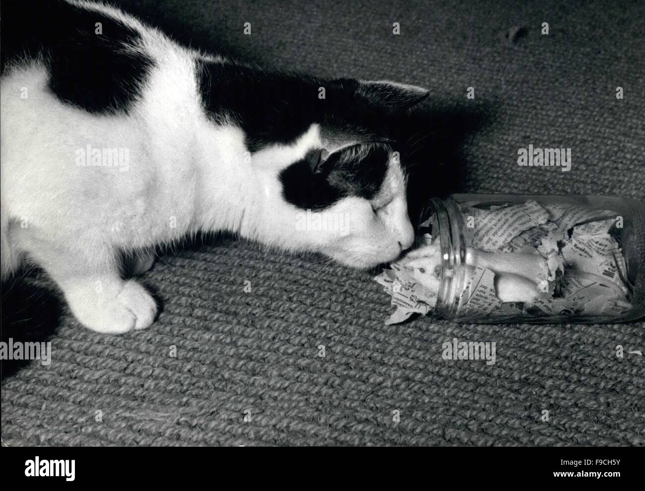 Cat mouse historical Banque de photographies et d’images à haute