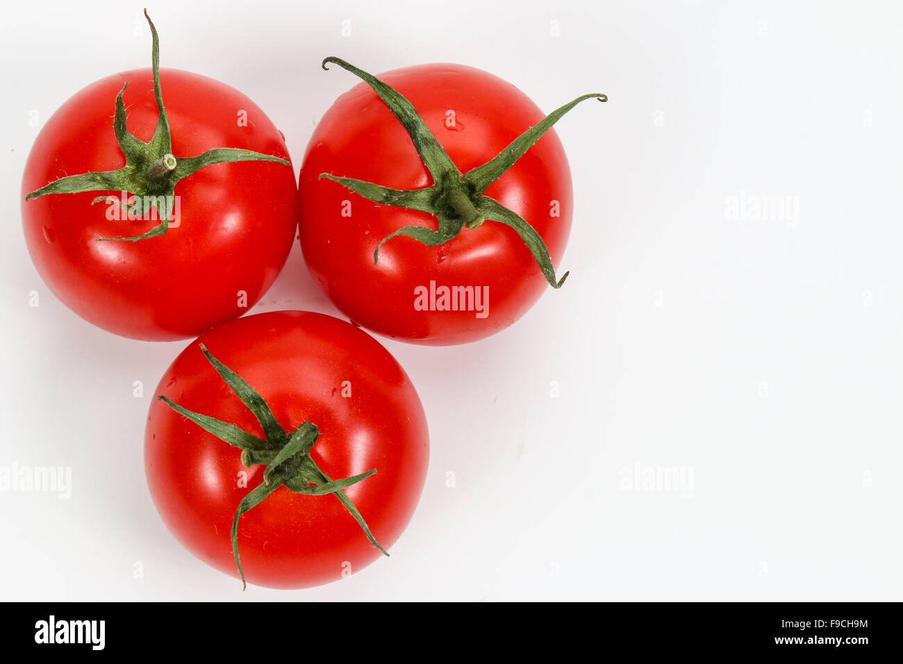 La tomate est le fruit rouge, souvent comestibles/berry du Solanum lycopersicum morelle Banque D'Images