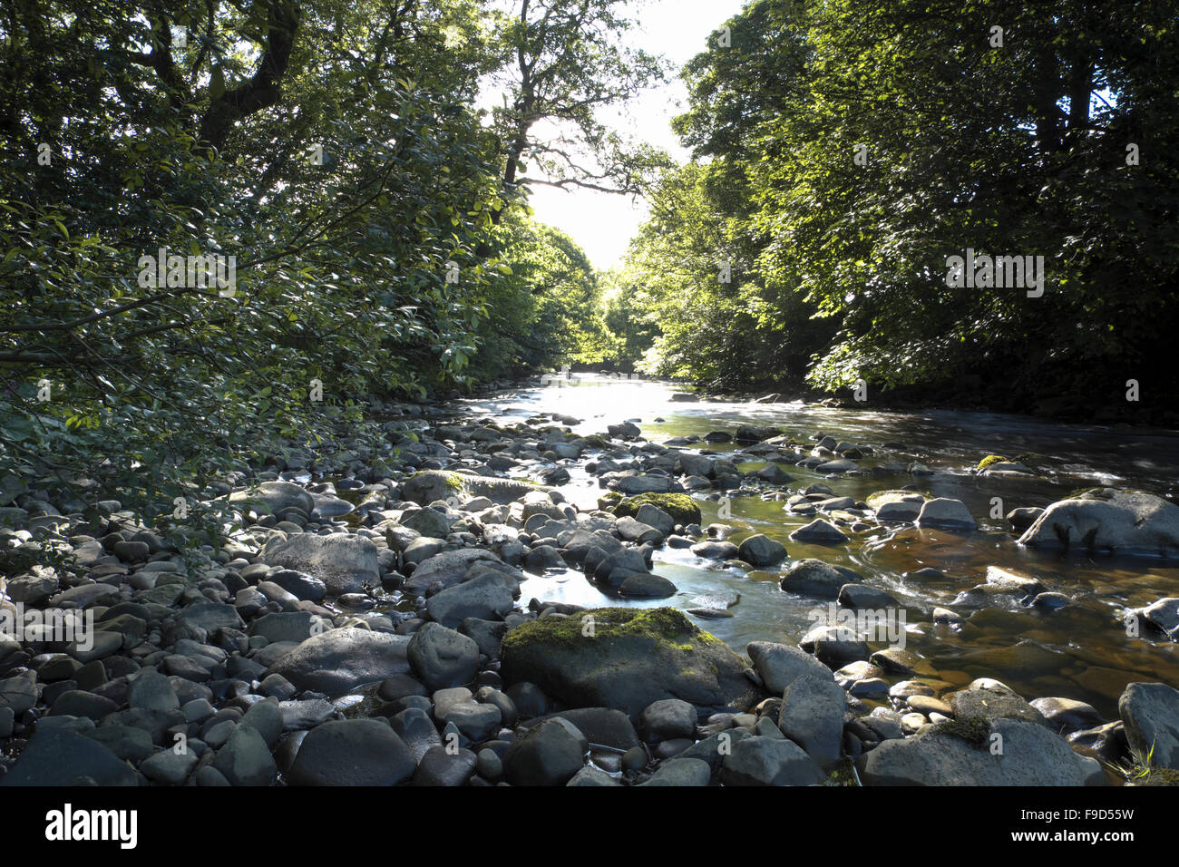 La lumière du soleil la rivière dappling Wenning en début d'été. Banque D'Images